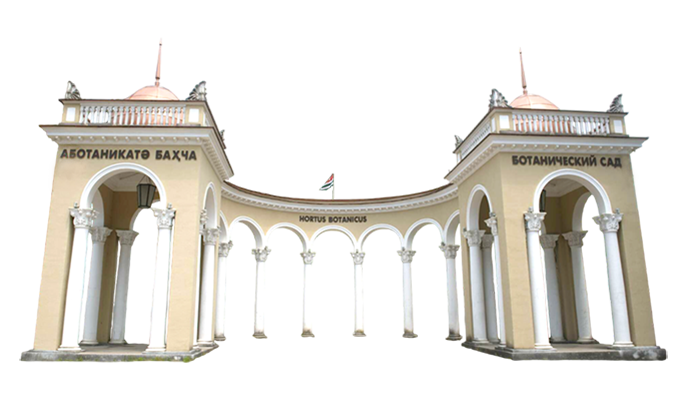 Ақалақь иазкны